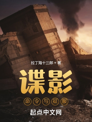 谍影:命令与征服小说114
